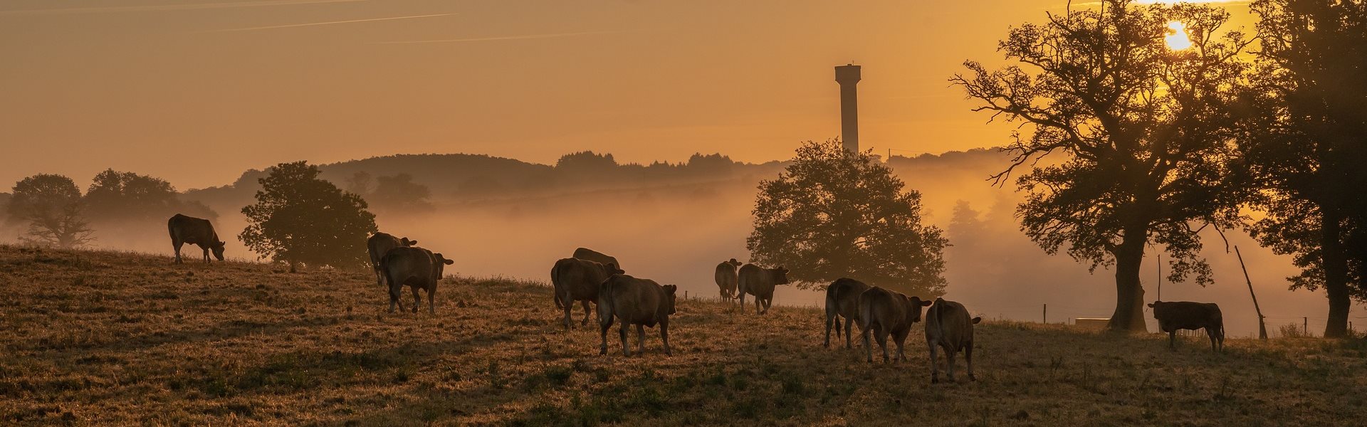 fotogalerij